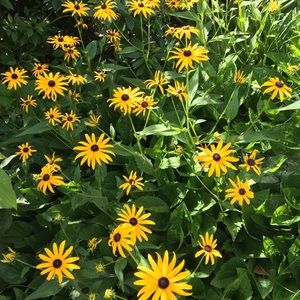 Meet your Posher, Jess